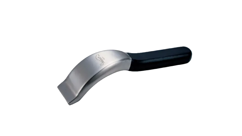 Main